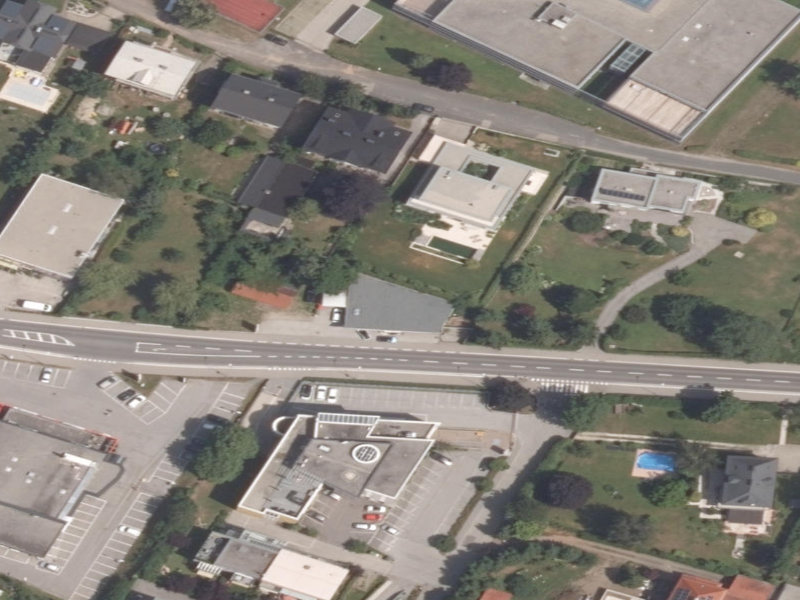 Shadows of the Silent Suburb