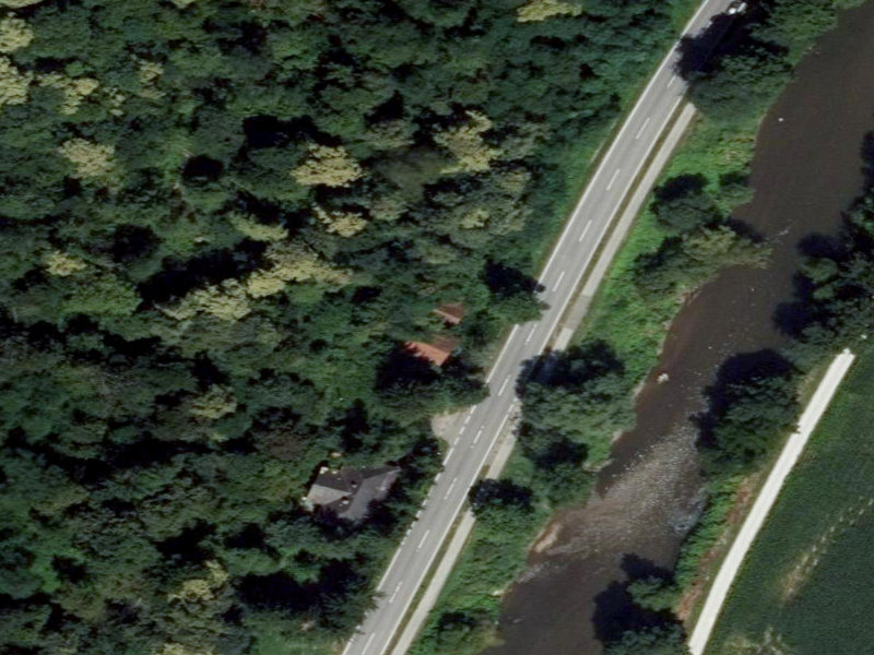 Canopy-Choked Leibnitz River Cabin