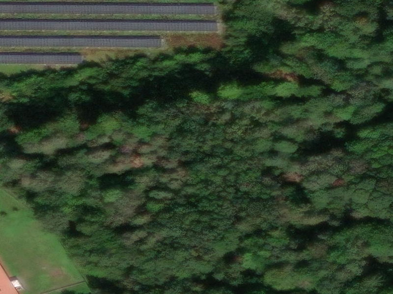 Plzeň Forested Solar Monoliths