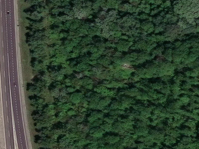 Forest-Swallowed Fuselage of Senec