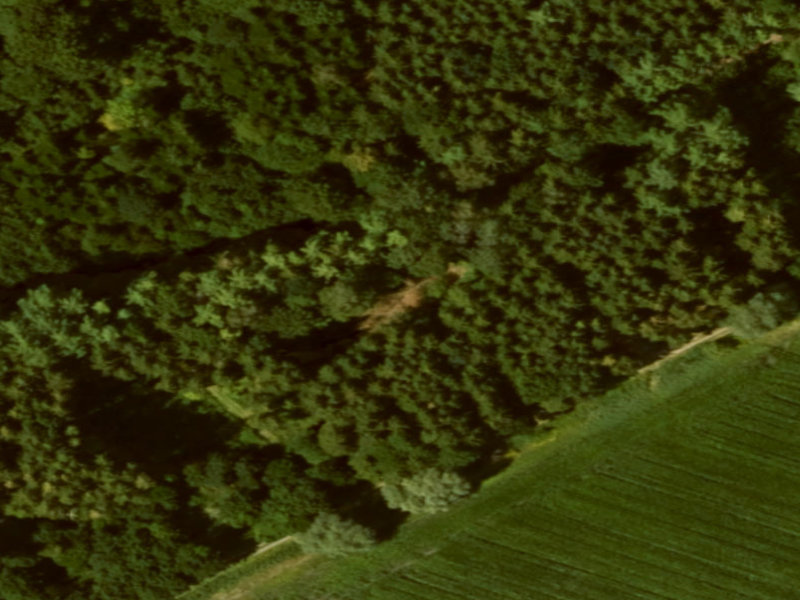 Bobingen's Verdant Sentinel, The Verdant Shadow of Bobingen, Green Lung of the Bavarian Forest