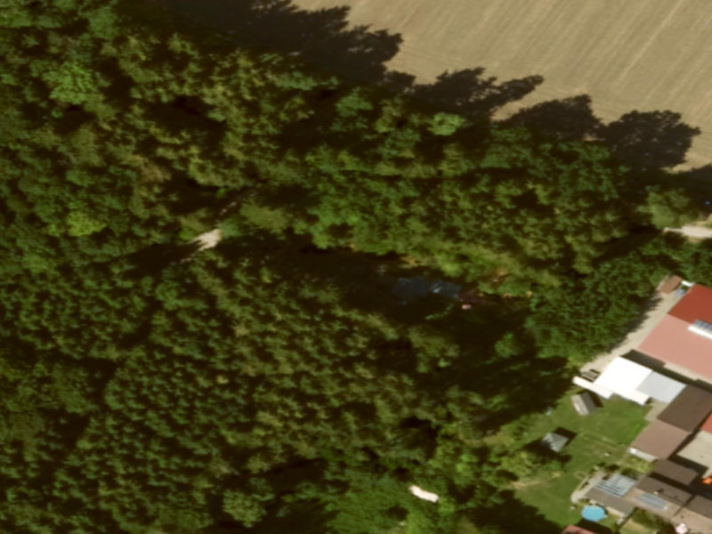 Shadowed Canopy of Bobingen