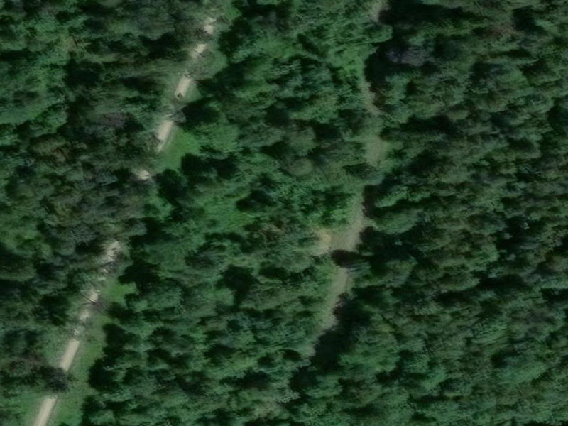 The Verdant Veil of Aichach