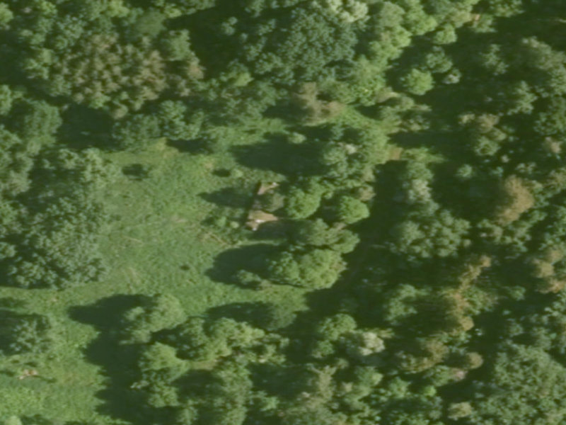 Canopy Shadows Over Langenau