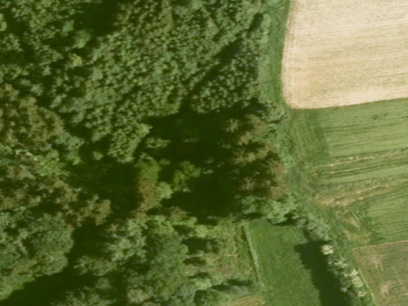 Bobingen's Verdant Shadows