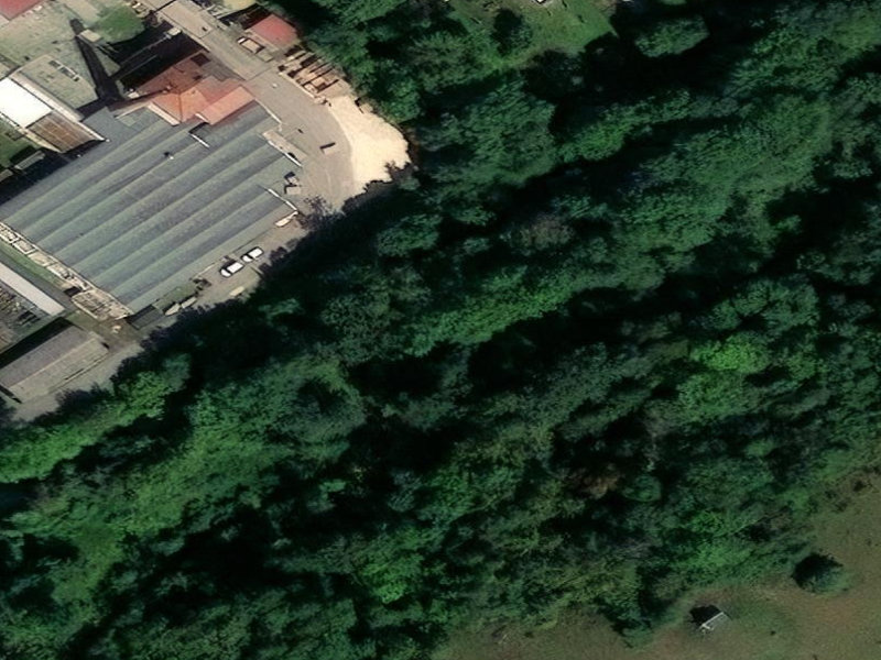 Grey Roof & Green Forest Edge in Dillingen