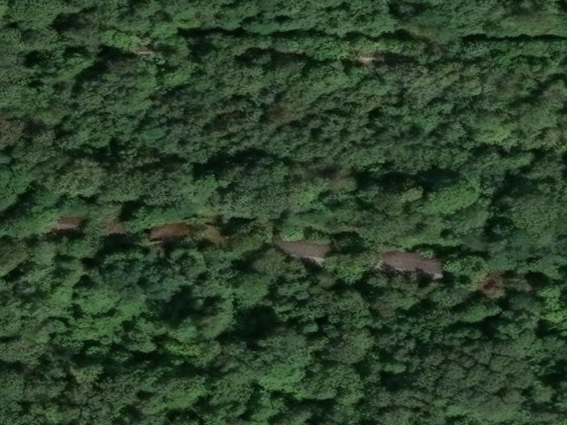 Canopy of Molsheim's Forgotten Wing