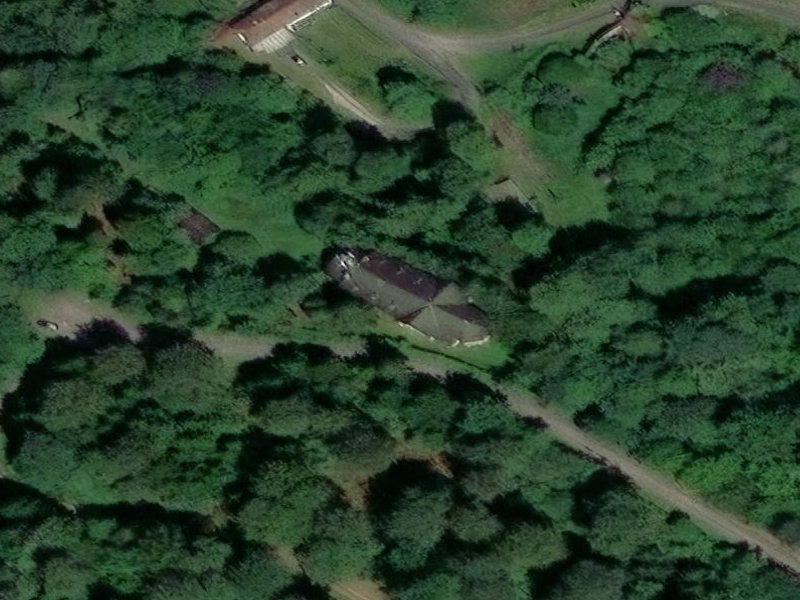The Iron Leaves of Vesoul
