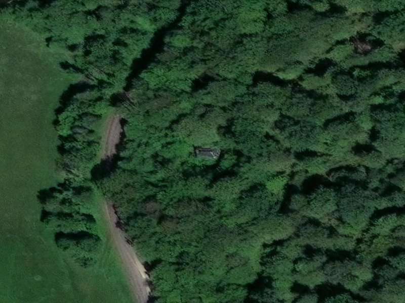 The Green Swallowed in Vesoul