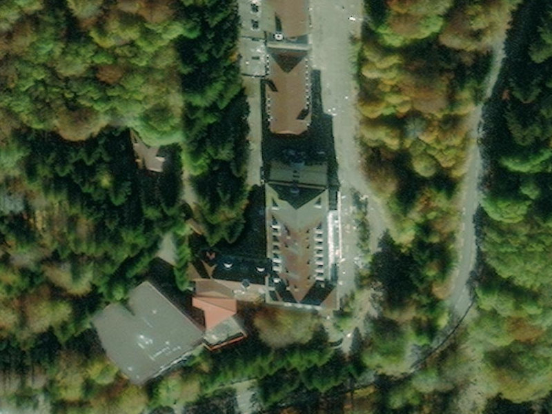Thann's Pine-Greened Sanatorium