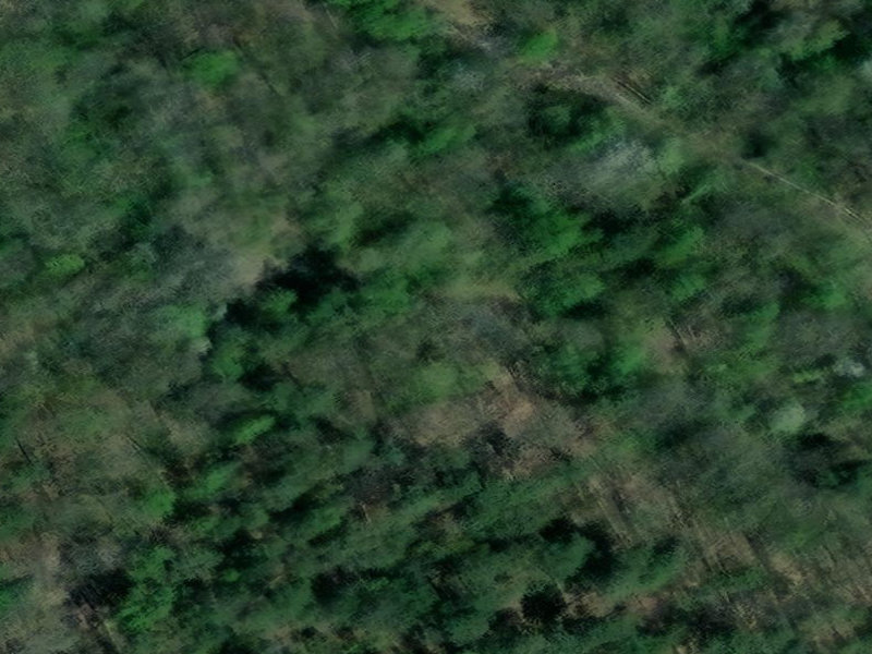 Épinal's Verdant Maze