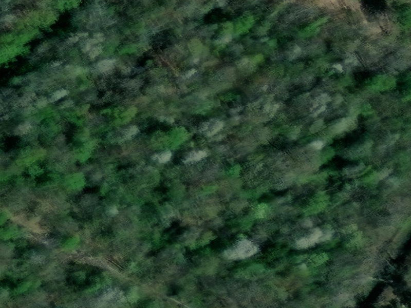 Verdant Decay in Épinal