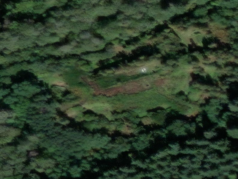 The Verdant Vein