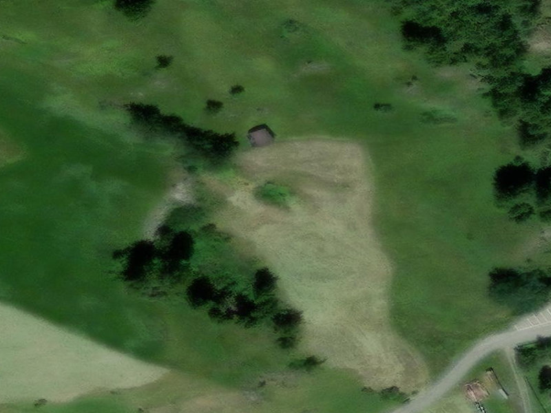 Green Ghost at Landeck Farm