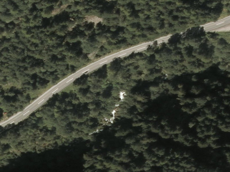 Forest-Embraced Concrete Ribbon in Telfs