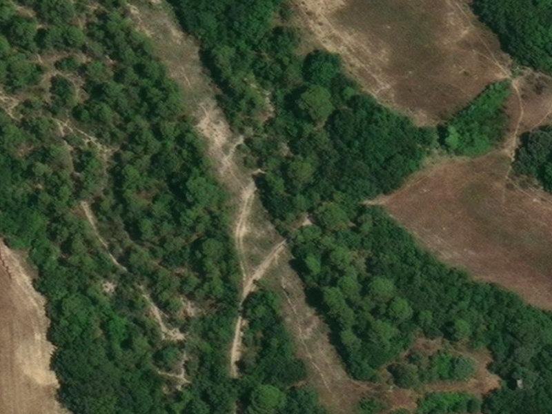 The Abandoned Heart of Mauguio