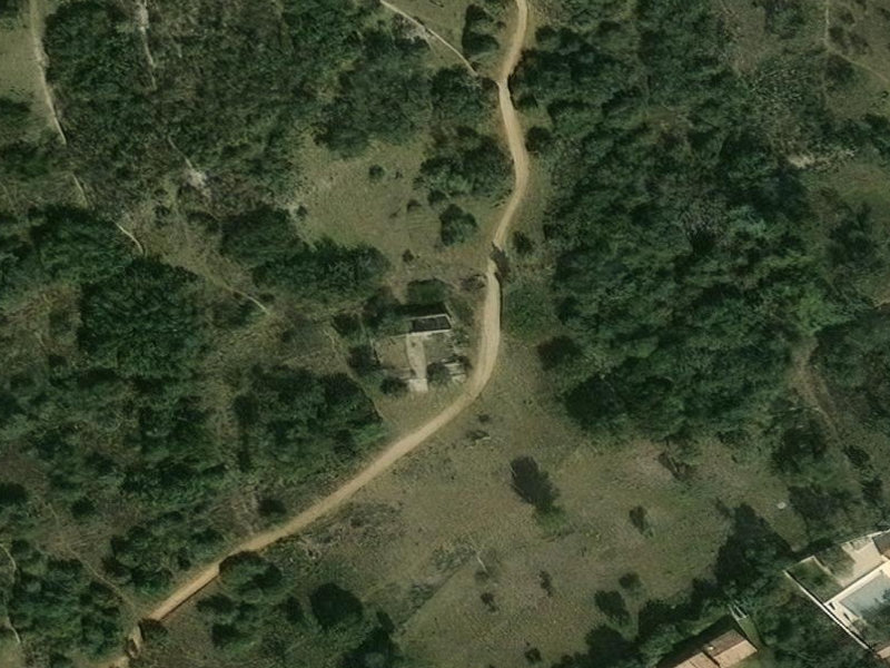 The Abandoned Vineyard of Châteaurenard: A Tale of Wine, Weeds, and Whispers