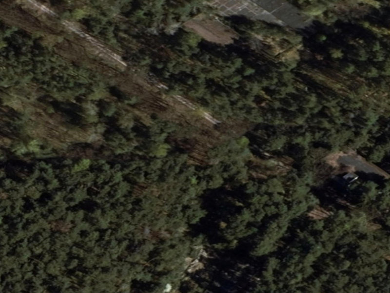 The Enigmatic Remnants of Droga pożarowa nr 11, Vorderheide: A Polished Path Leads to the Heart of an Abandoned Empire