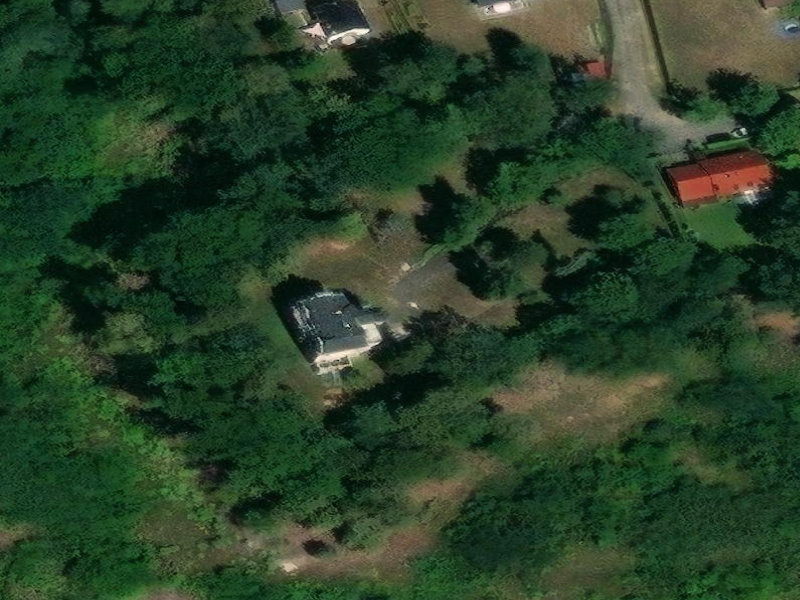 Abandoned Haven of Dębowa