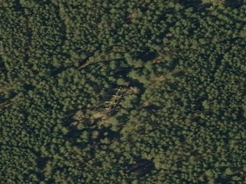 Droga Aliny II's Forgotten Forest: A Polen Industrial Escape