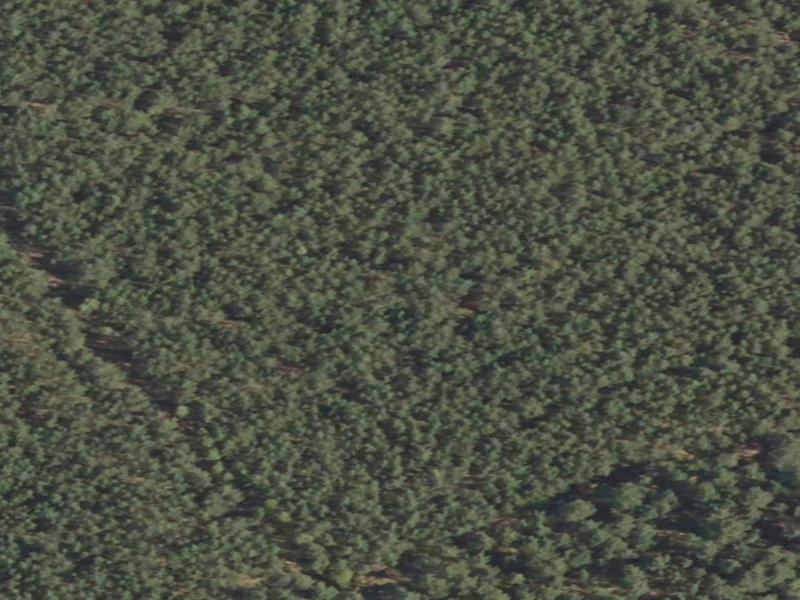 New Location