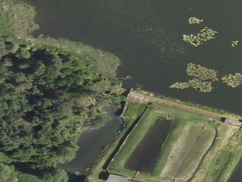 Urban Oasis: Przetocznica's Forgotten Industrial Haven