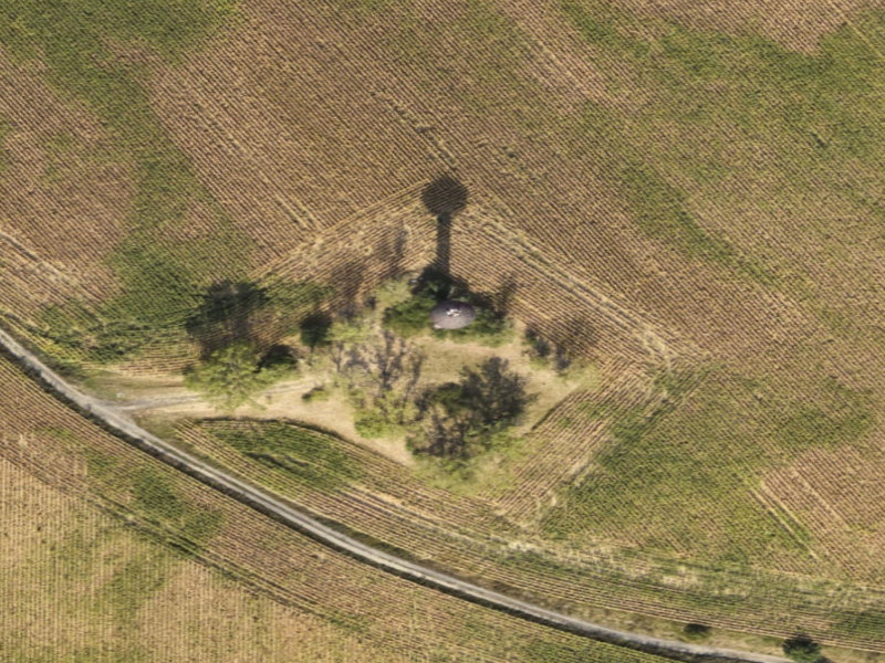 The Enigmatic Enclave of Merzdorf: A Polen Echo