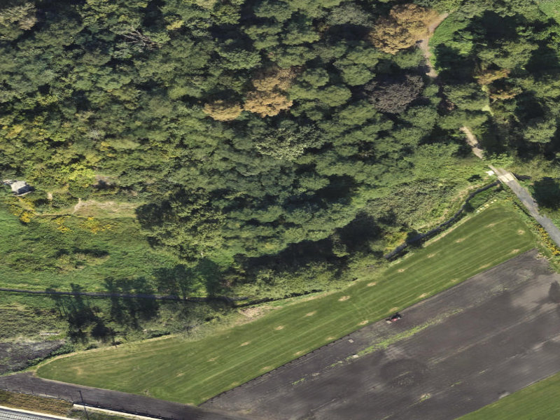 Woodland's Whispers: The Forgotten Residential Oasis of Schwiebus