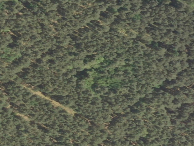The Abandoned Forest Fortress of Dojazd