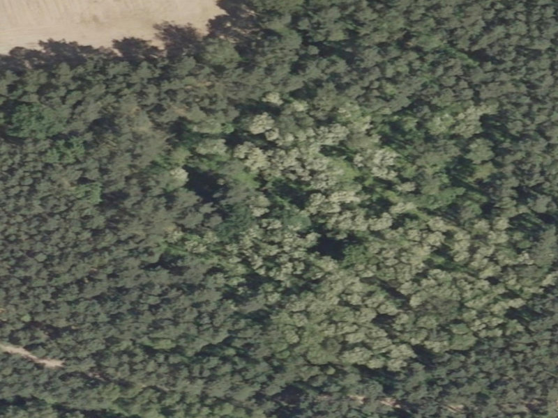 The Abandoned Symphony of Nature's Rebirth in Lubrza, Poland