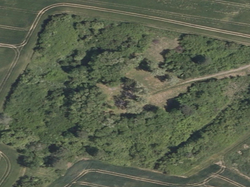 The Silent, Forgotten, and Abandoned Heart of Międzyrzecki Rejon Umocniony
