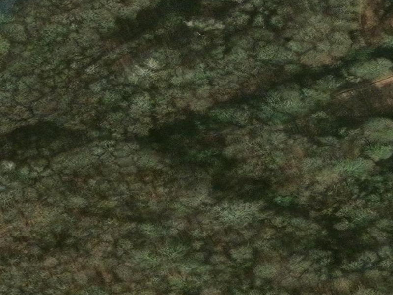 The Enigmatic Veil of Sarbinowska