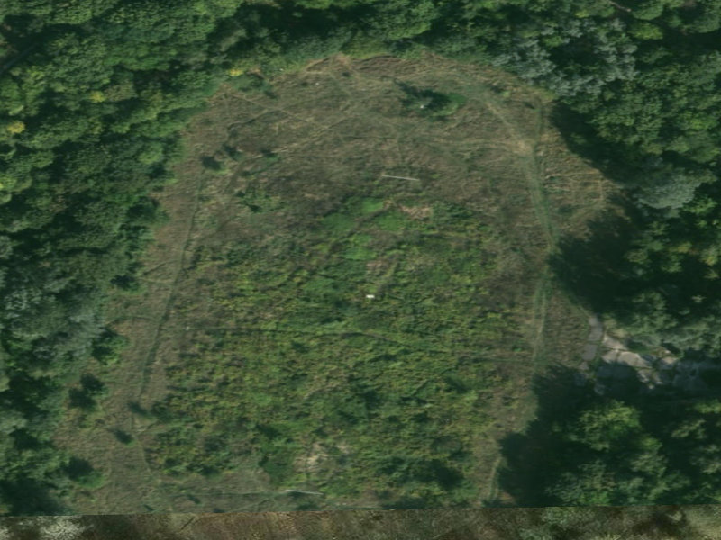 The Enigmatic Heart of Maratońska