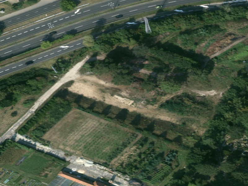The Abandoned Oasis of Jana Henryka Dąbrowskiego