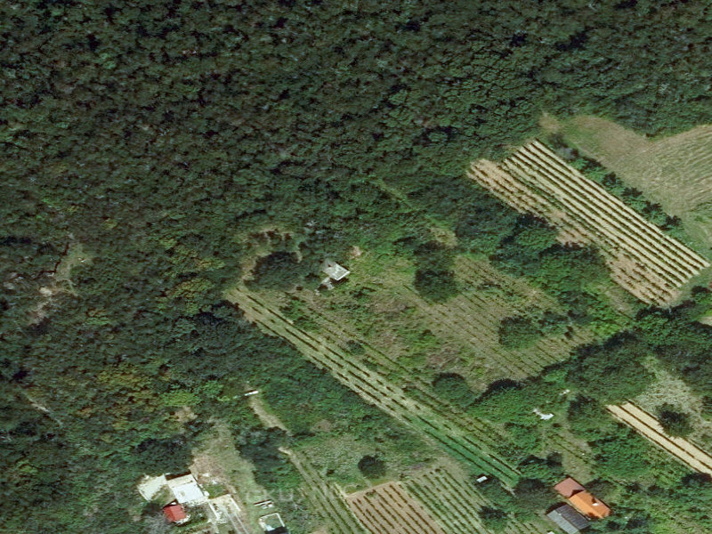 The Enigmatic Abandonment of Krížny vrch, Lewenz: A Journey through Time