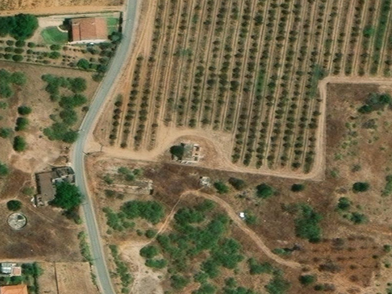 New Location