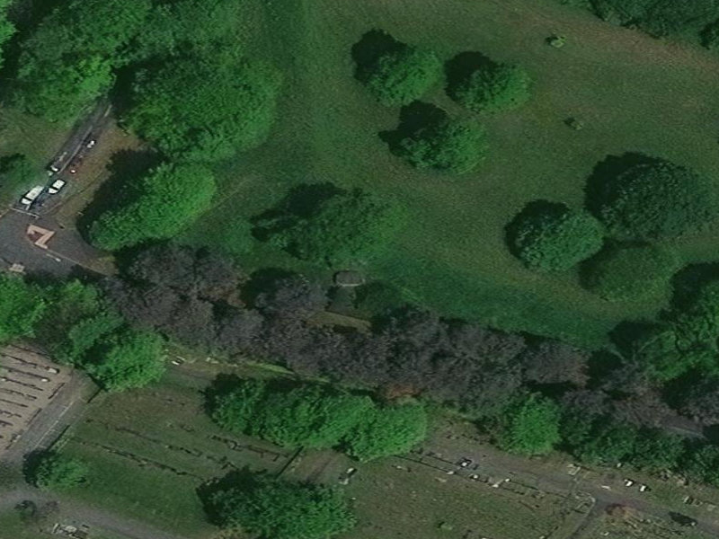 Traces of a Forgotten Vector