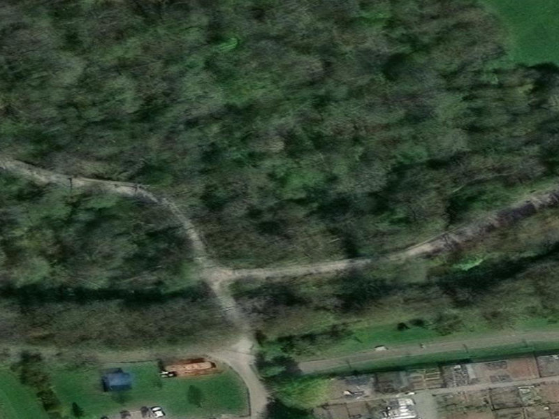 Traces of the Grid